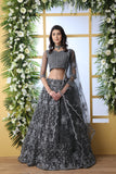 Grey Net Thread Embroidered Lehenga Choli