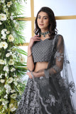 Grey Net Thread Embroidered Lehenga Choli