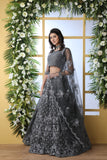 Grey Net Thread Embroidered Lehenga Choli