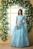 Sky Blue Net Thread Embroidered Lehenga Choli