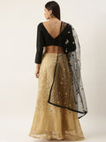 Black and yellow Colour Lahenga Choli