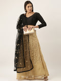 Black and yellow Colour Lahenga Choli