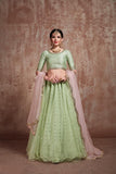 Pista Green Net Designer Lehenga Choli with Sequins Work For Wedding Work