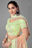 Pista Green Colored Semi Stitched Designer Lehenga Choli With Dupatta