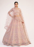 Light Pink Color Soft Net Base Stone And Sequins Work Lehenga