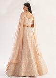 Peach Color Soft Net Fabric Stone Work Lehenga With Net Dupatta