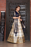 Authentic Designs Banarasi Brocade Lehenga With Choli And Dupatta